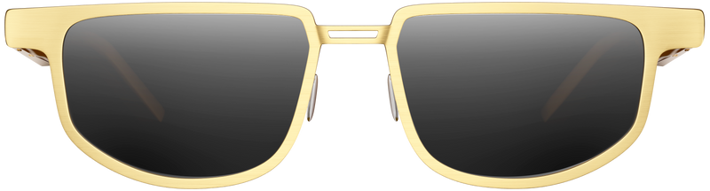 DYMESTY AI GLASSES