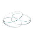 Replacement Lenses for Dymesty AI Glasses
